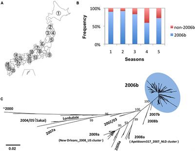 Evolutionary Constraints on the Norovirus Pandemic Variant GII.4_2006b over the Five-Year Persistence in Japan